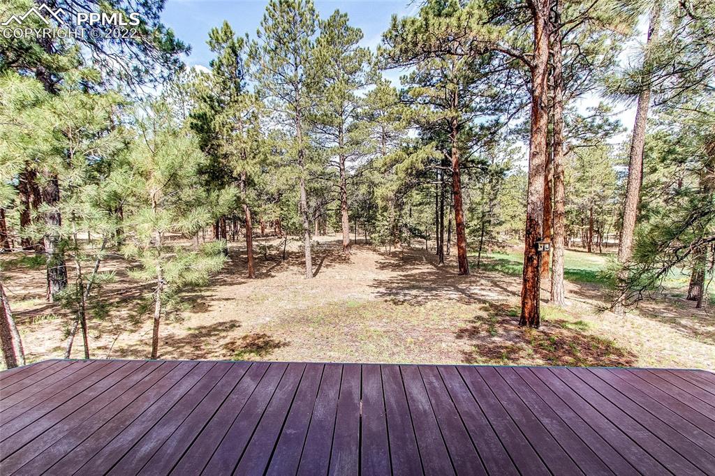 5030 Cedar Way Elizabeth, CO 80107 - Photo 30 of 33 a view of outdoor space with wooden floor and trees