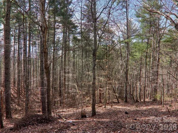 $595,000 | 74 Woodson Drive, Mars Hill, NC 28754