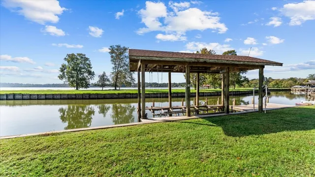 a view of a large trees with a big yard