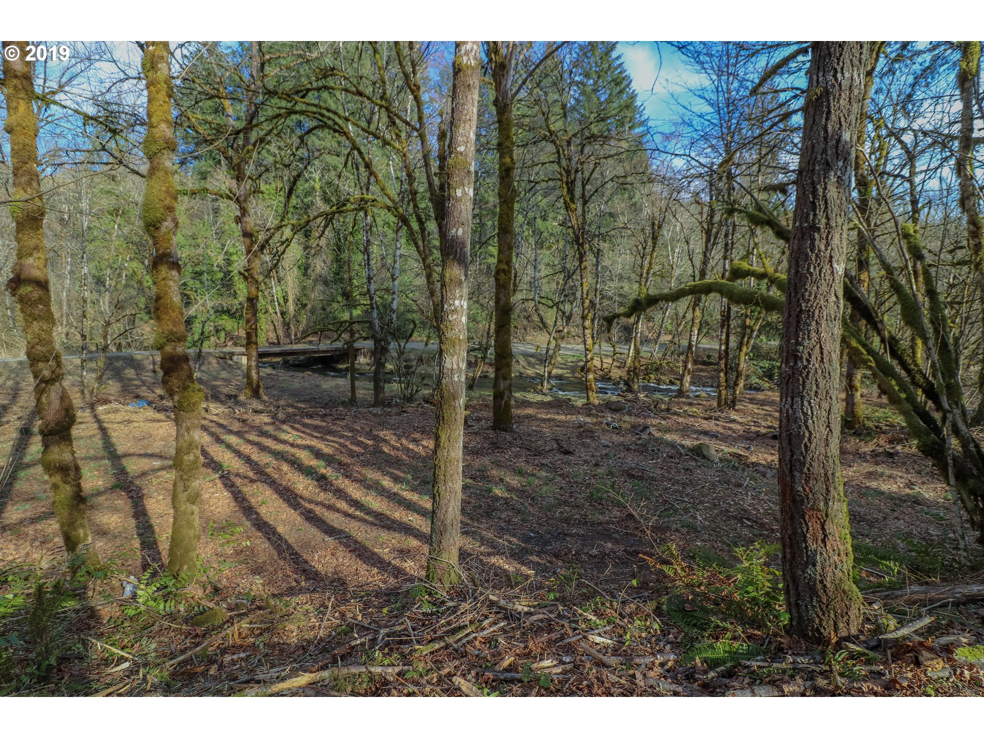 20025 Northwest Kay Road North Plains, OR 97133 - Photo 10 of 14 Gallery Image 10