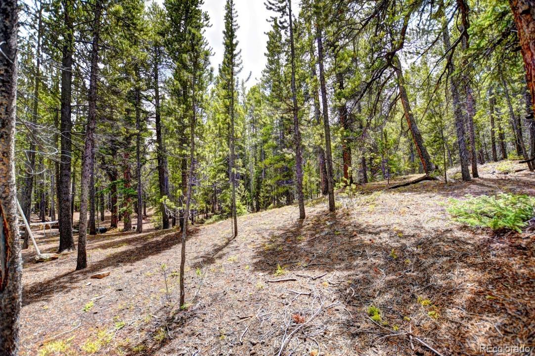 0 Penn Road Fairplay, CO 80440 - Photo 17 of 29 Gallery Image 17