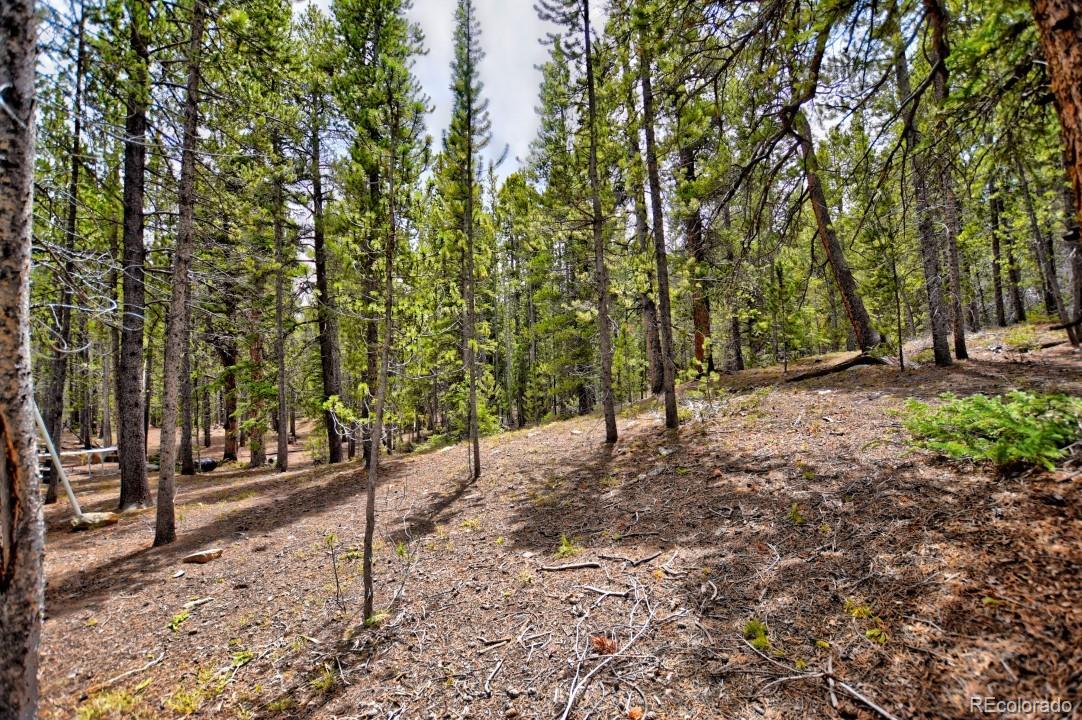0 Penn Road Fairplay, CO 80440 - Photo 18 of 29 Gallery Image 18