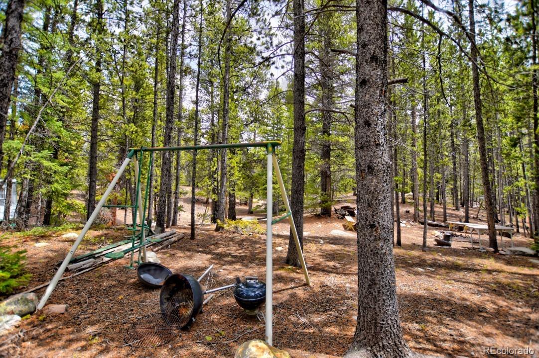 0 Penn Road Fairplay, CO 80440 - Photo 20 of 29 Gallery Image 20