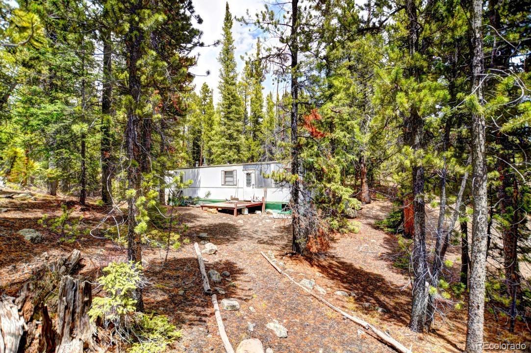 0 Penn Road Fairplay, CO 80440 - Photo 23 of 29 Gallery Image 23