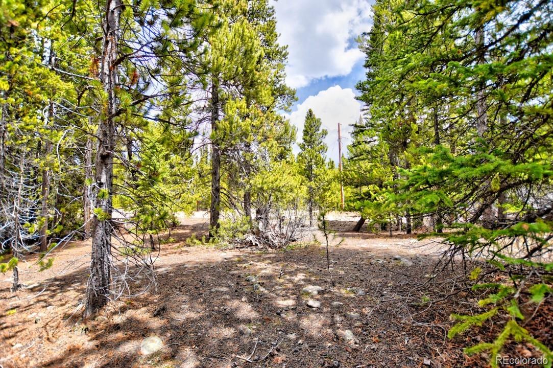 0 Penn Road Fairplay, CO 80440 - Photo 28 of 29 Gallery Image 28