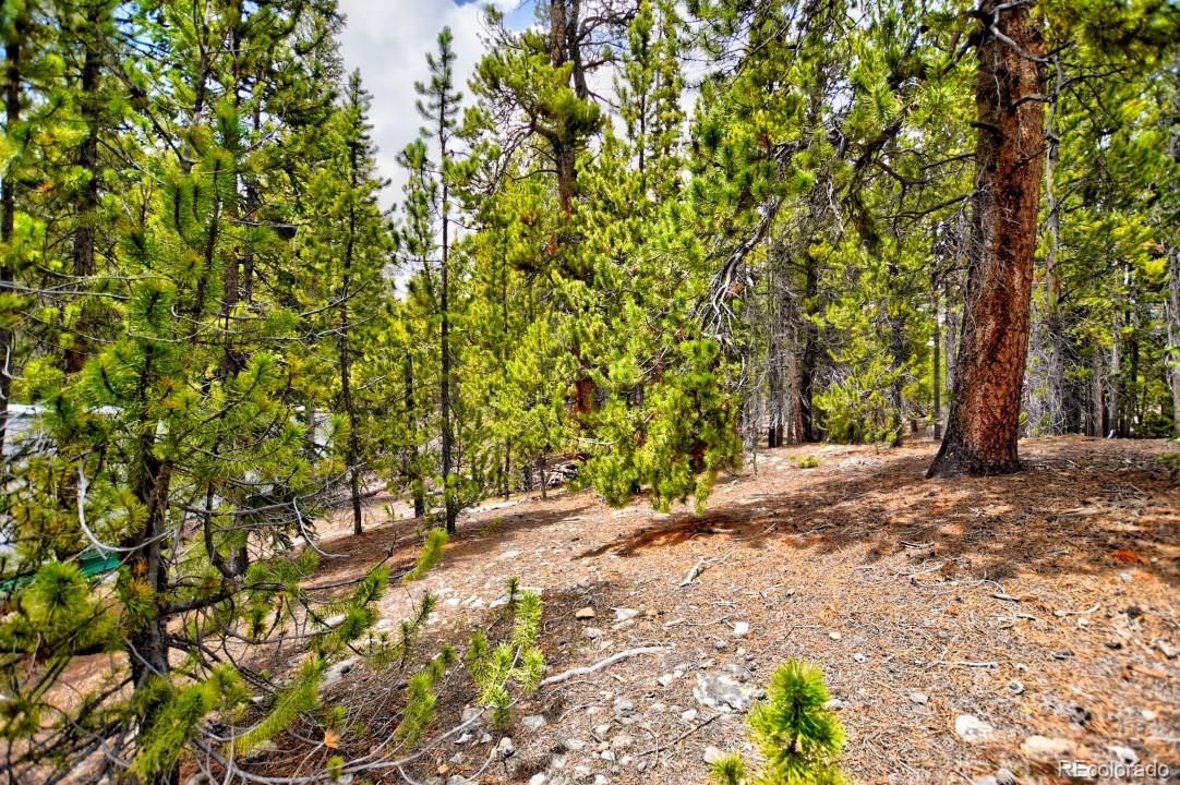 0 Penn Road Fairplay, CO 80440 - Photo 8 of 29 Gallery Image 8