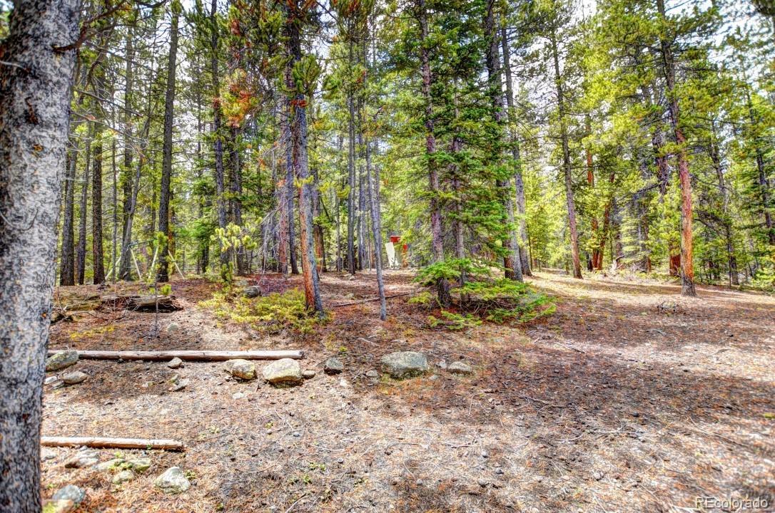 0 Penn Road Fairplay, CO 80440 - Photo 9 of 29 Gallery Image 9