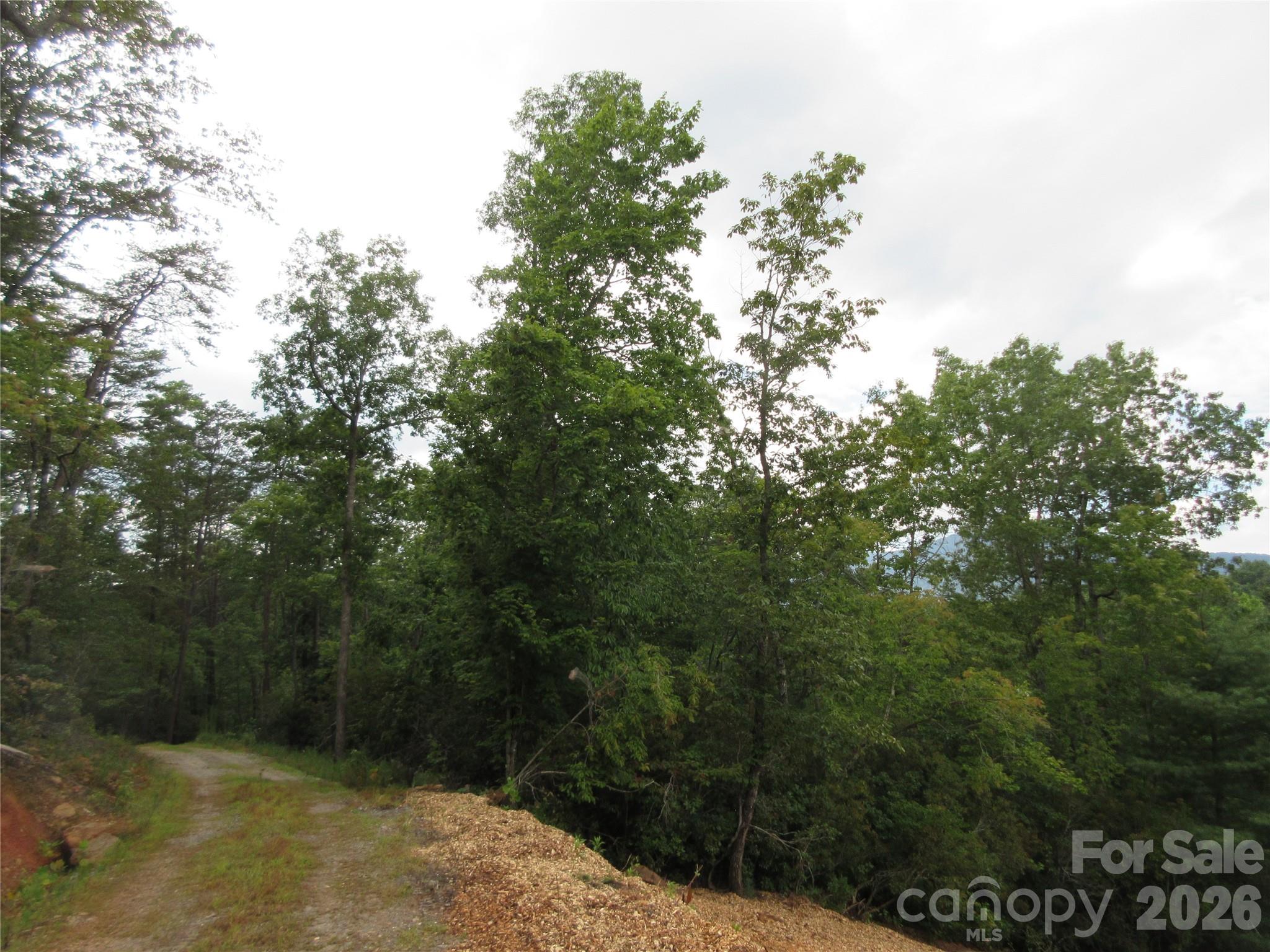 0 Levi Road Columbus, NC 28722 - Photo 11 of 40