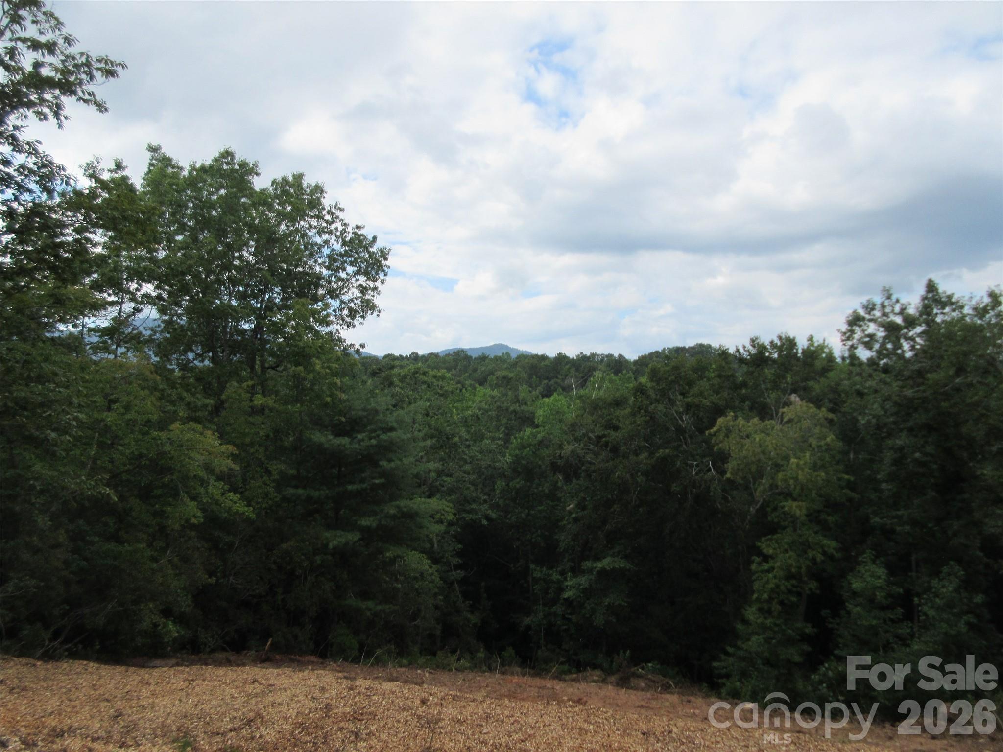 0 Levi Road Columbus, NC 28722 - Photo 12 of 40