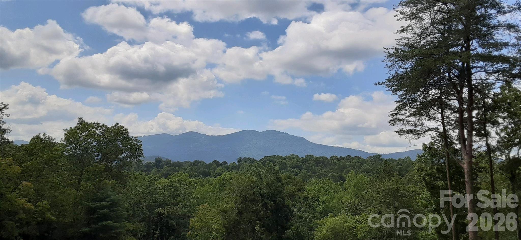 0 Levi Road Columbus, NC 28722 - Photo 17 of 40