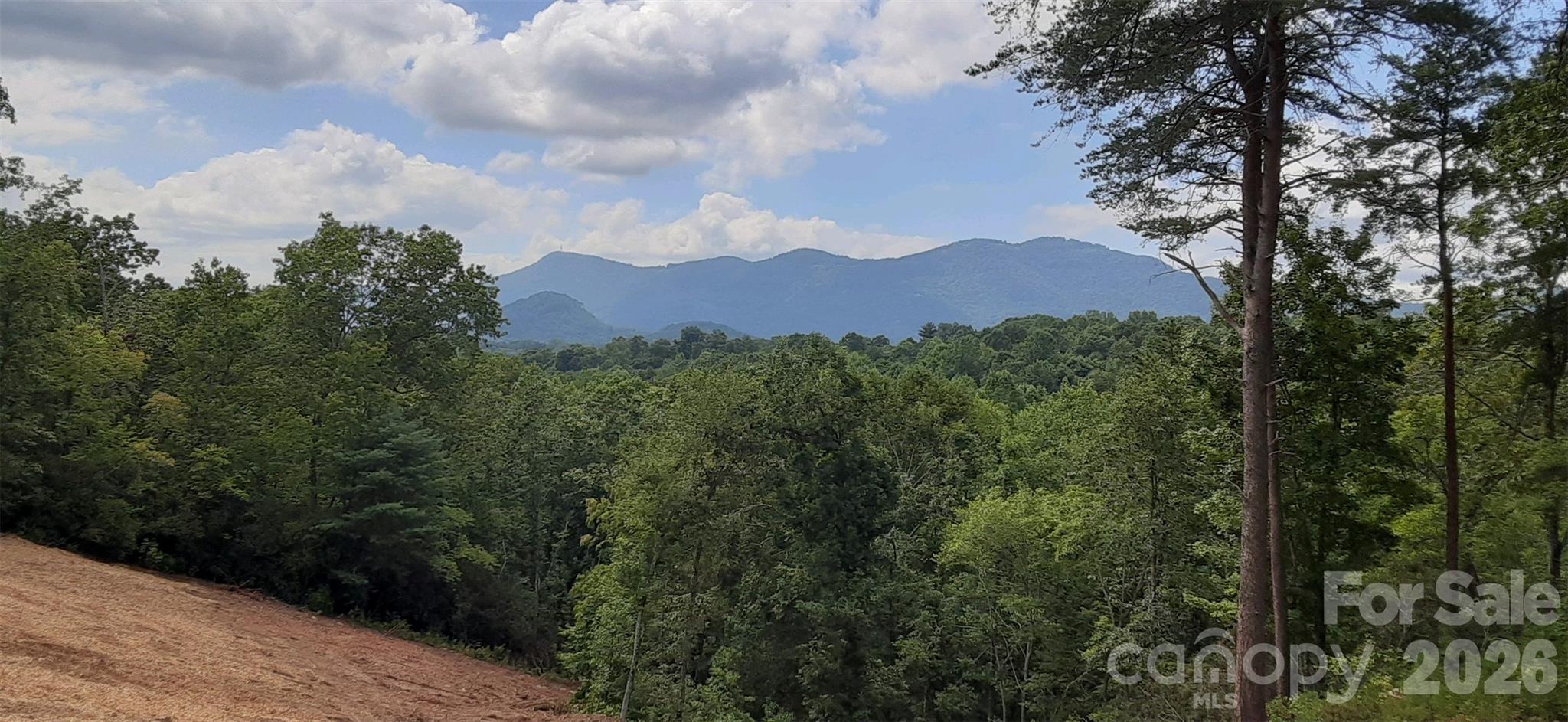 0 Levi Road Columbus, NC 28722 - Photo 18 of 40