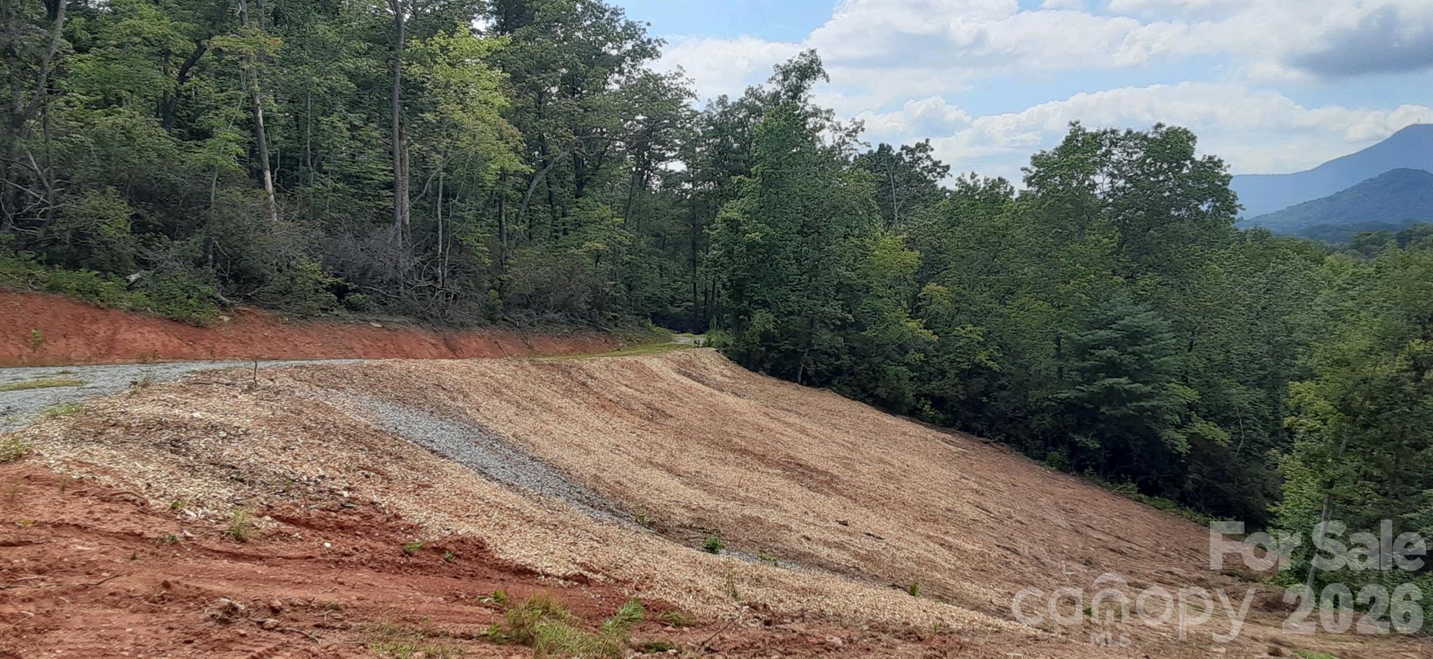 0 Levi Road Columbus, NC 28722 - Photo 19 of 40