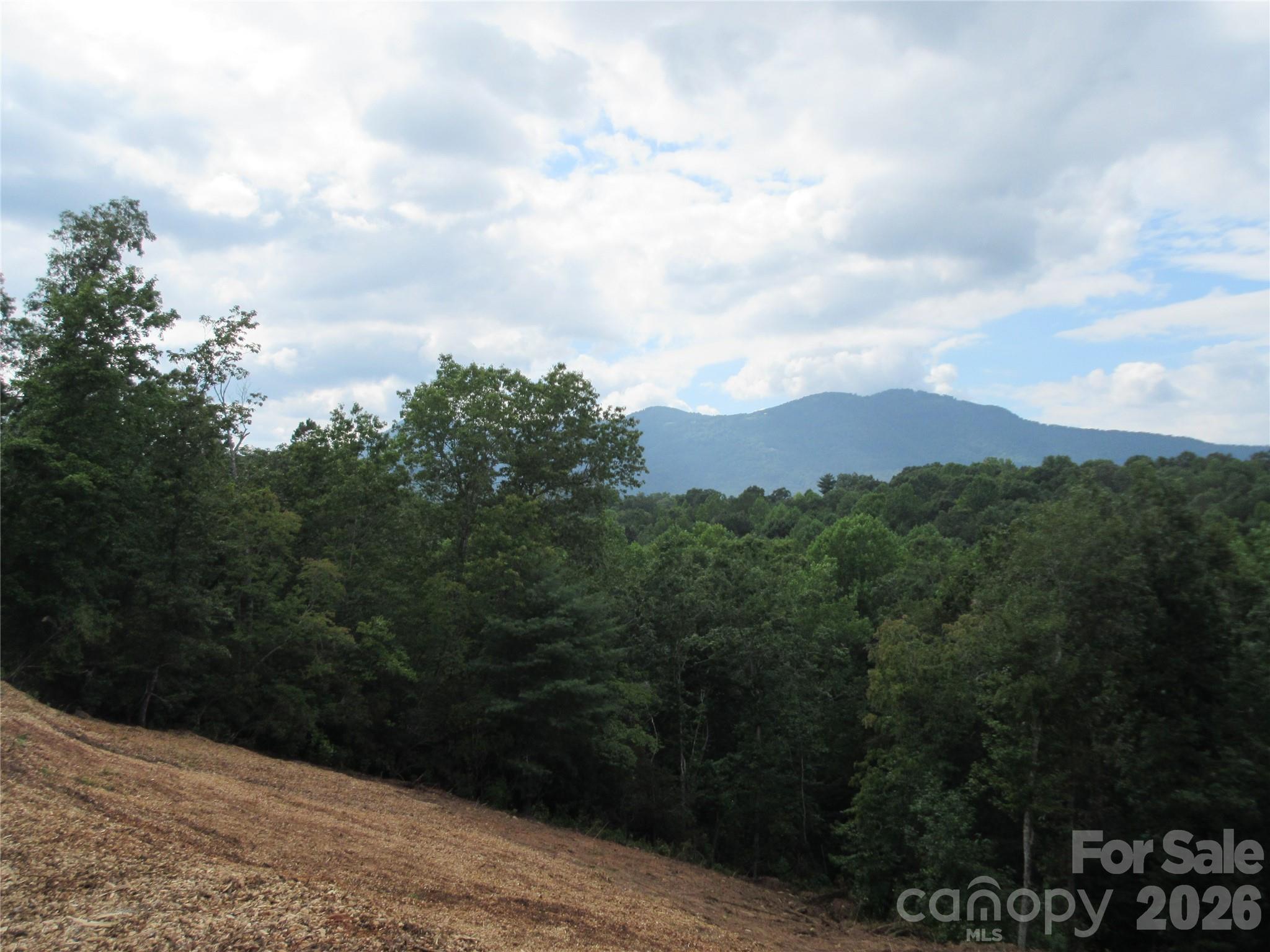 0 Levi Road Columbus, NC 28722 - Photo 2 of 40