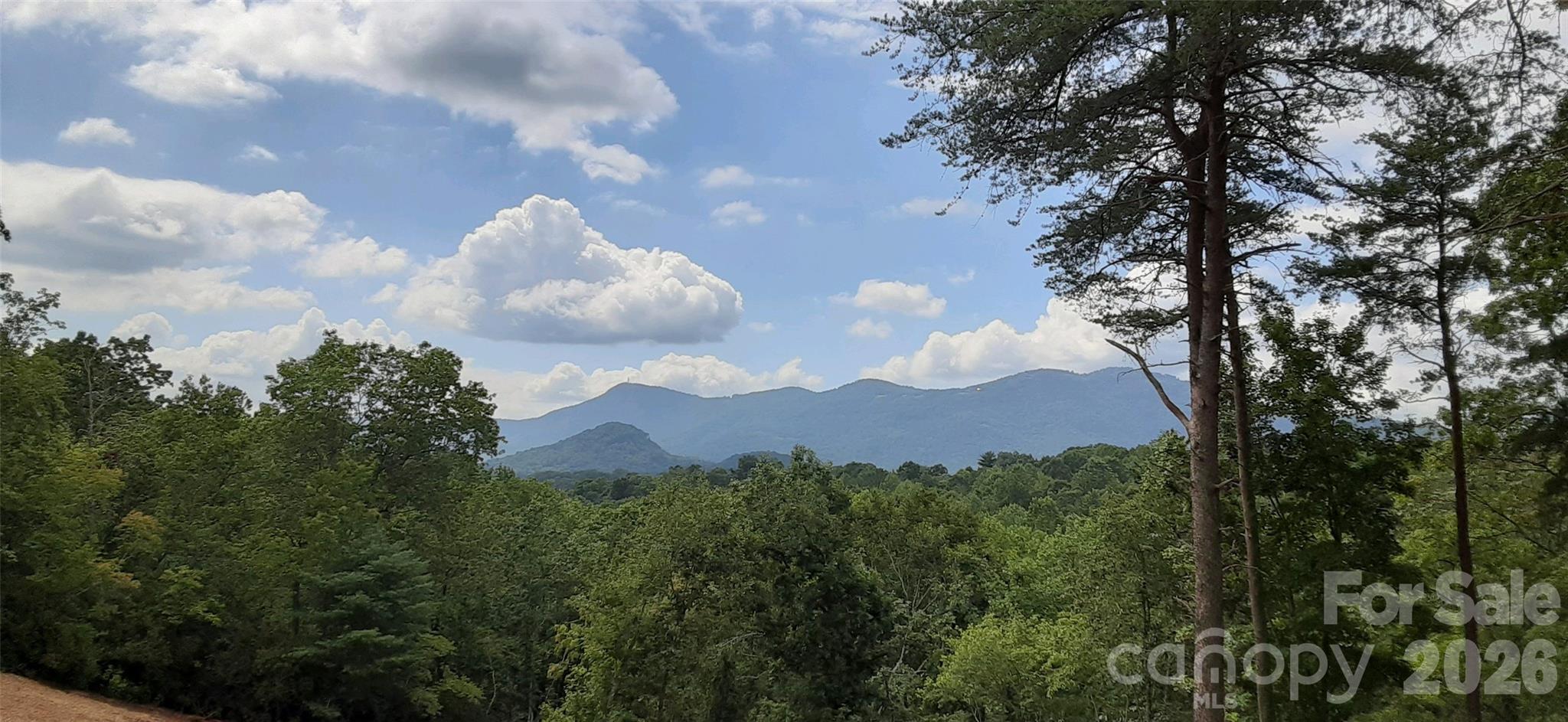 0 Levi Road Columbus, NC 28722 - Photo 21 of 40