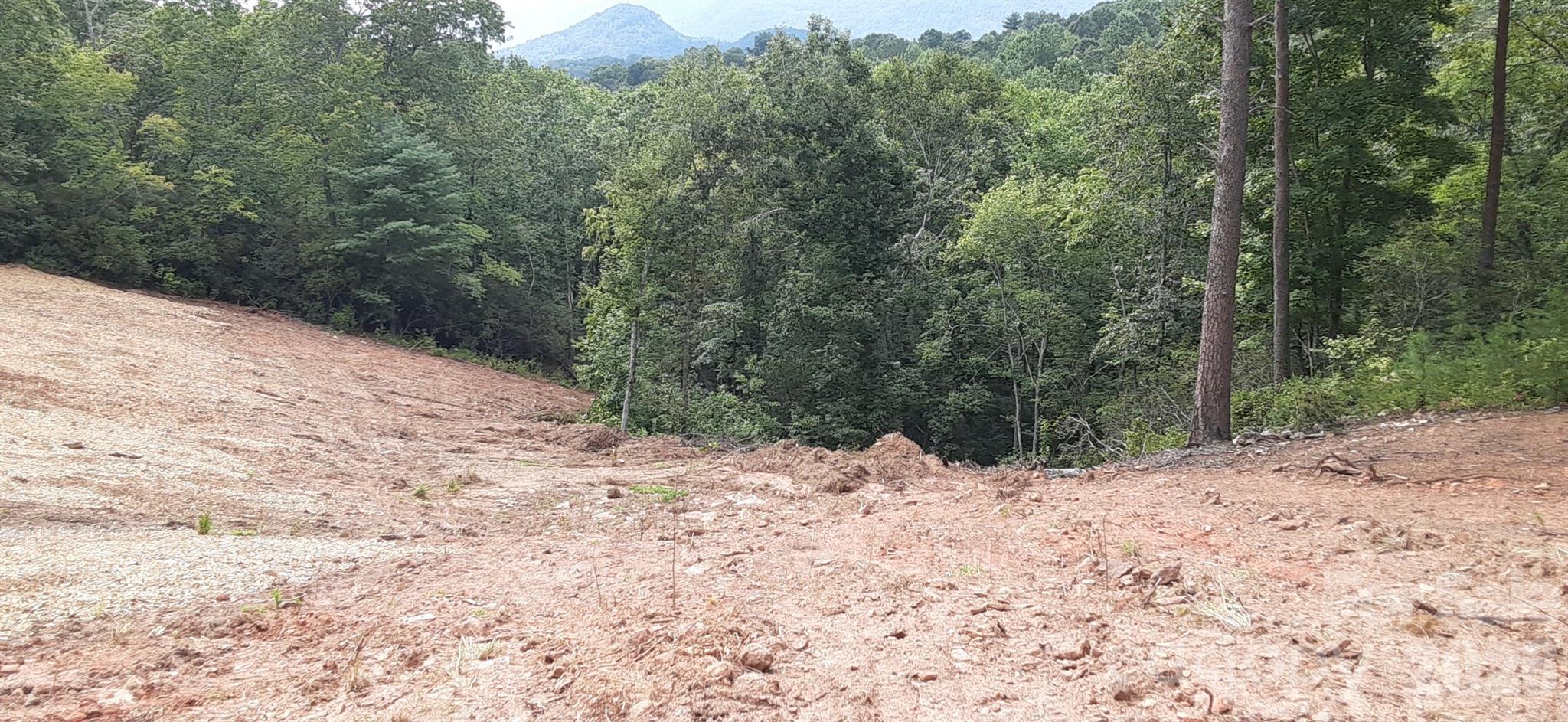 0 Levi Road Columbus, NC 28722 - Photo 22 of 40