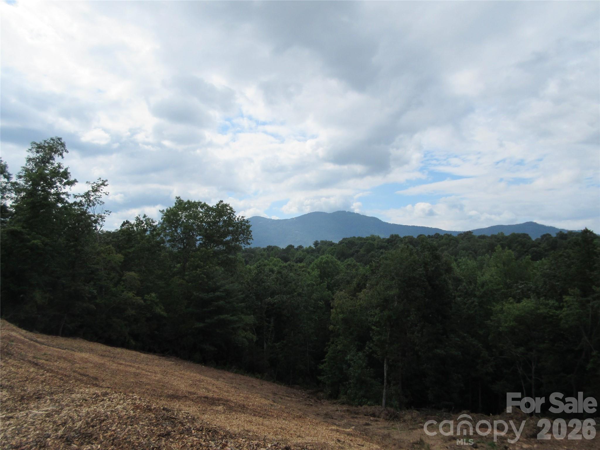 0 Levi Road Columbus, NC 28722 - Photo 24 of 40