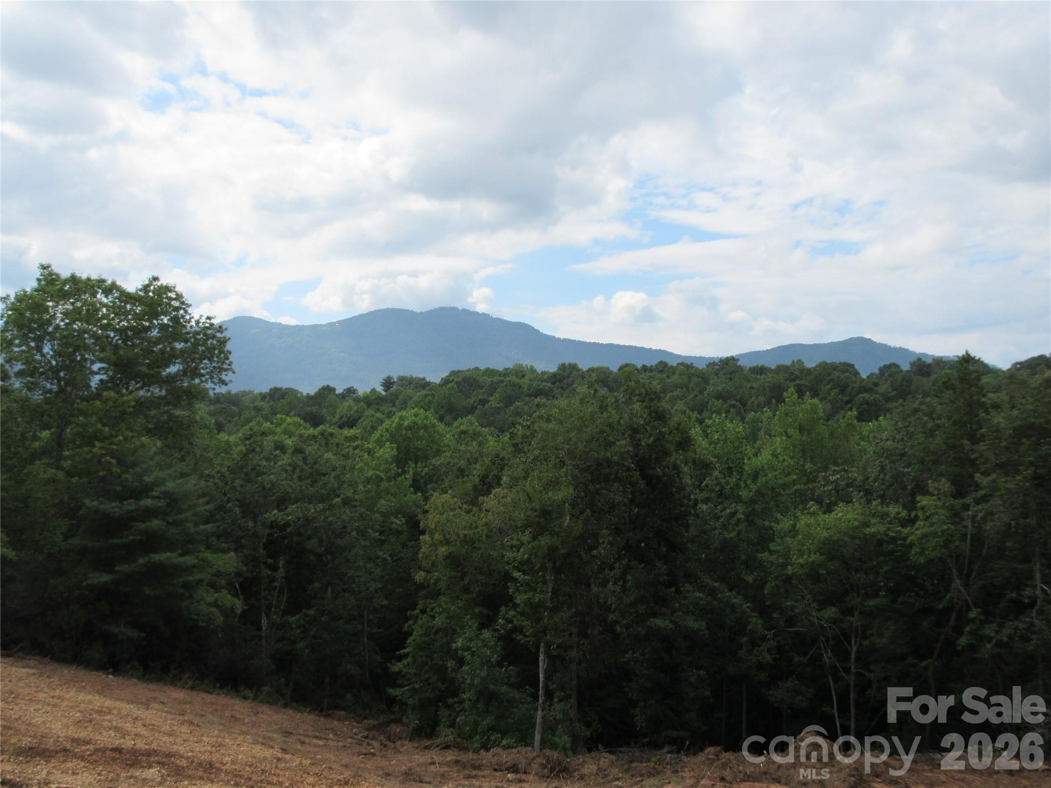 0 Levi Road Columbus, NC 28722 - Photo 25 of 40