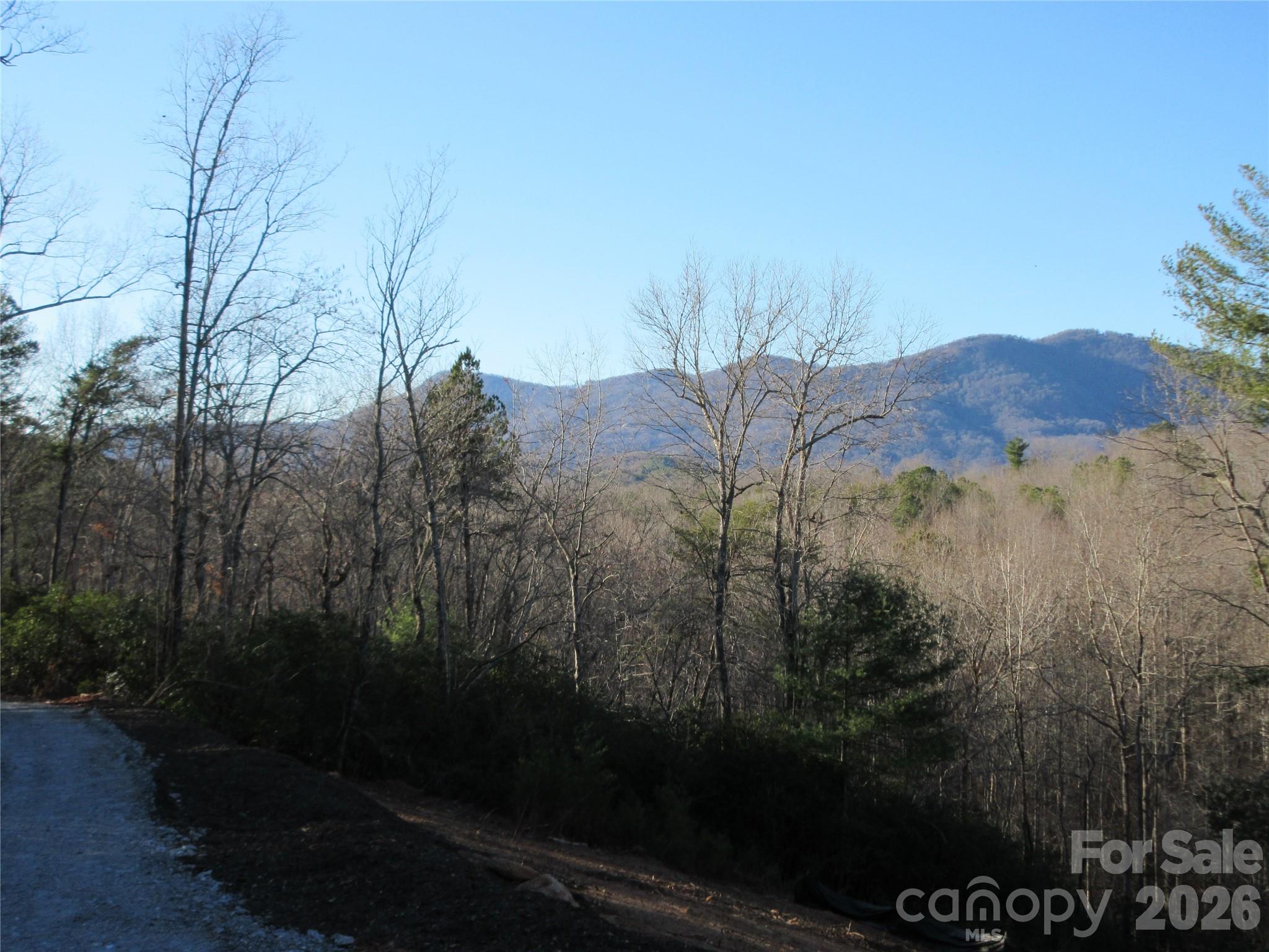 0 Levi Road Columbus, NC 28722 - Photo 27 of 40