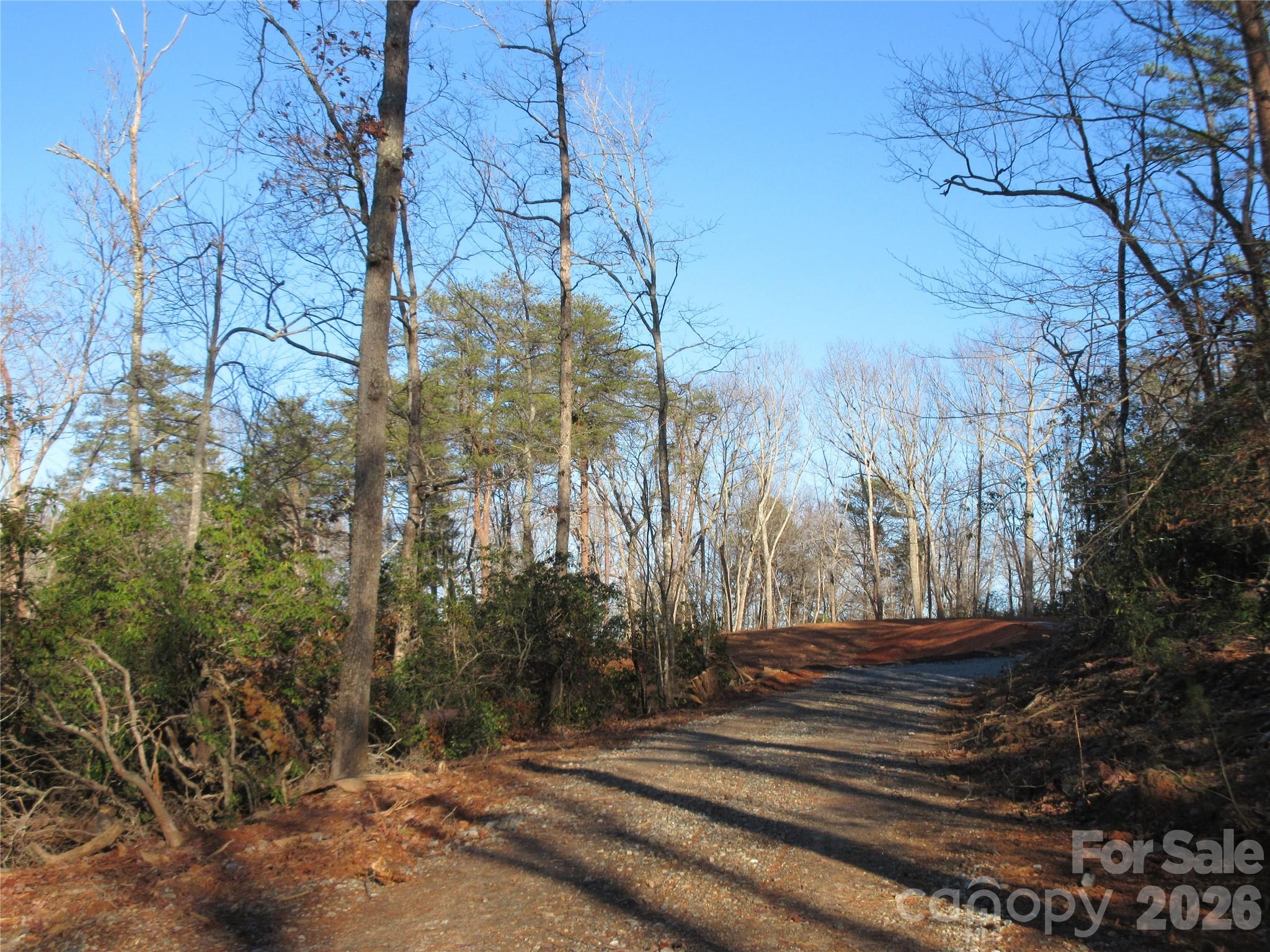 0 Levi Road Columbus, NC 28722 - Photo 28 of 40