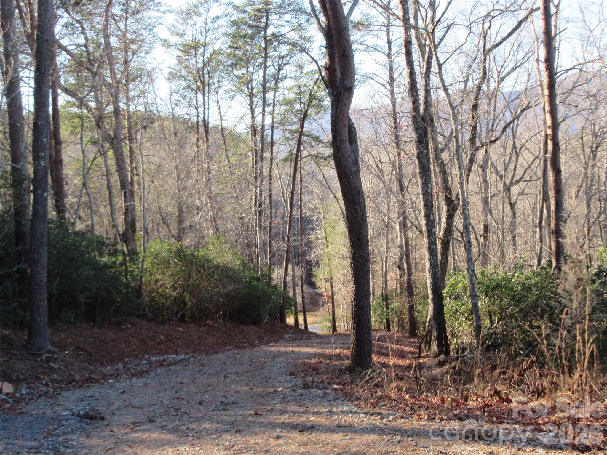 0 Levi Road Columbus, NC 28722 - Photo 29 of 40