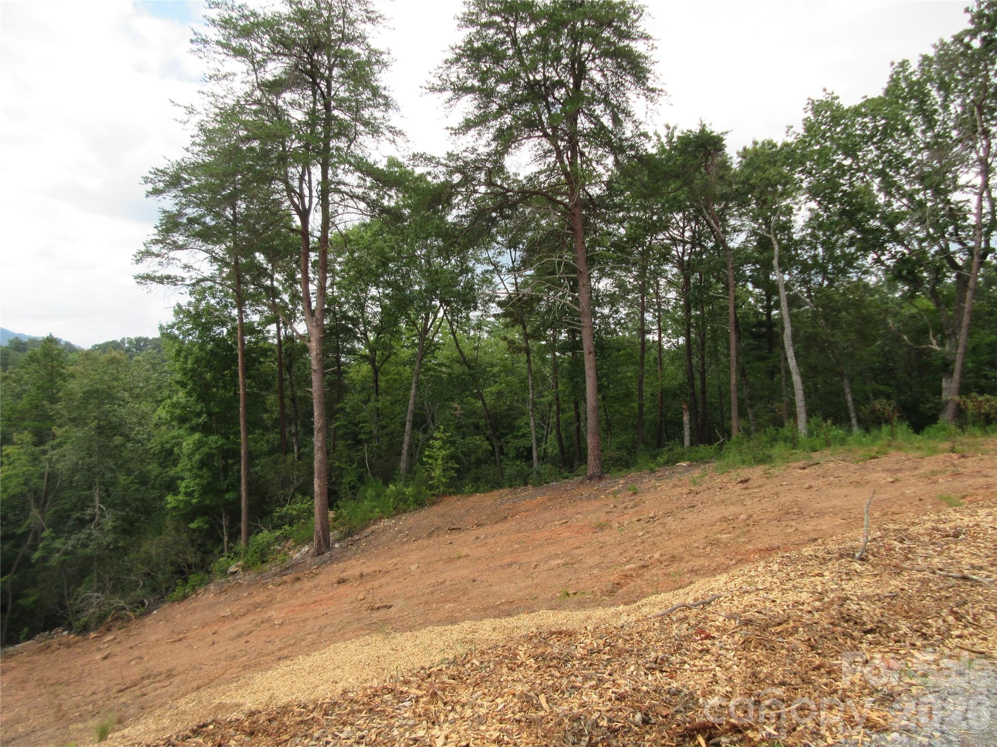 0 Levi Road Columbus, NC 28722 - Photo 3 of 40