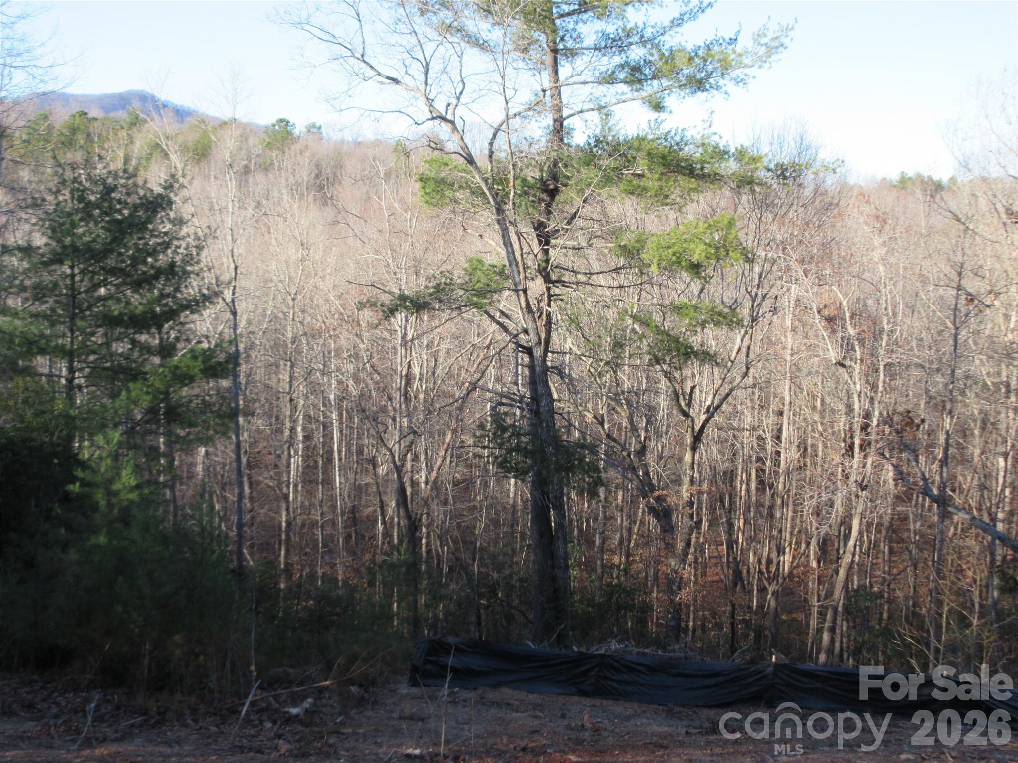 0 Levi Road Columbus, NC 28722 - Photo 34 of 40