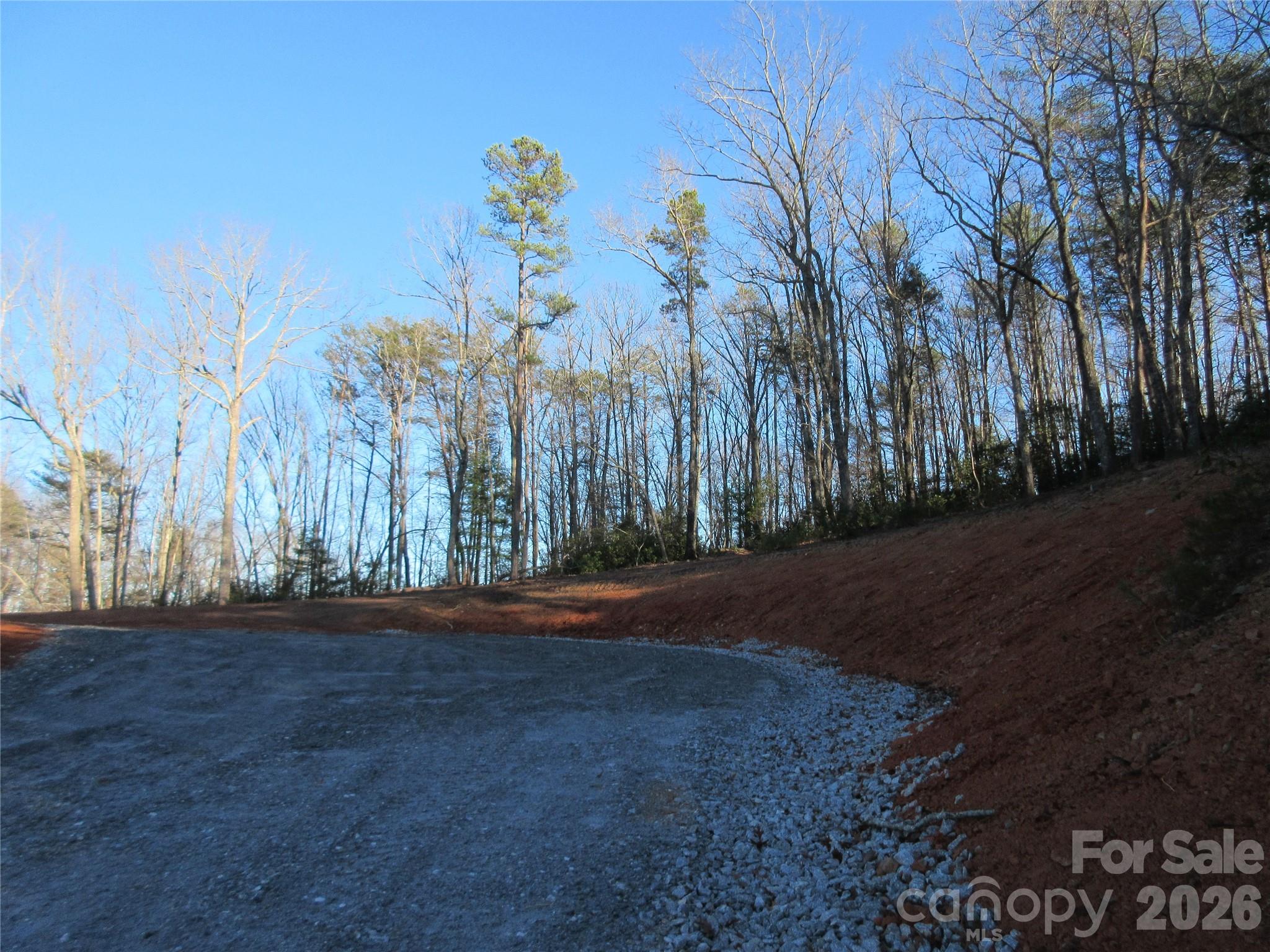 0 Levi Road Columbus, NC 28722 - Photo 35 of 40