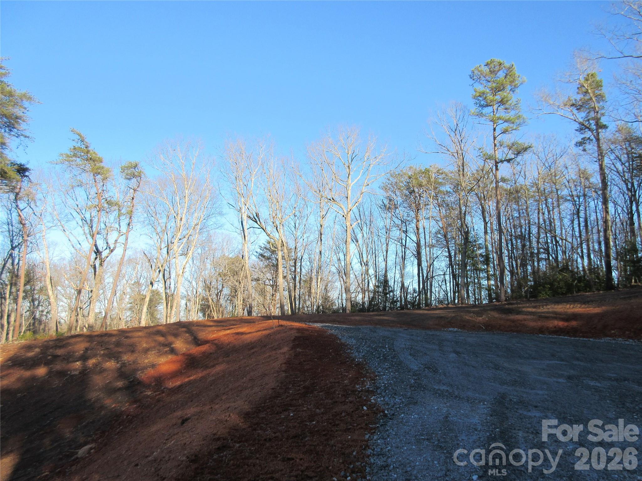 0 Levi Road Columbus, NC 28722 - Photo 39 of 40