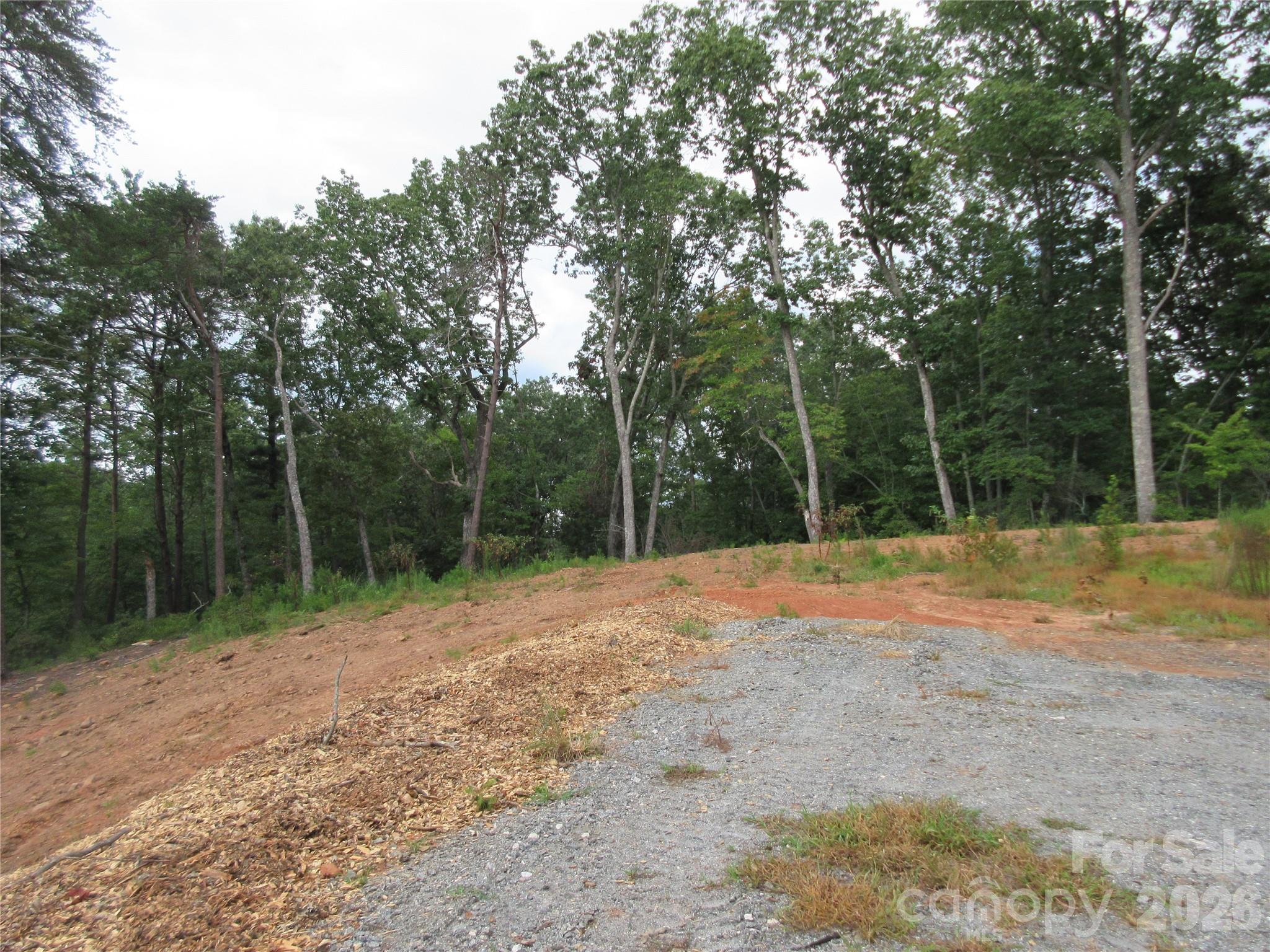 0 Levi Road Columbus, NC 28722 - Photo 5 of 40