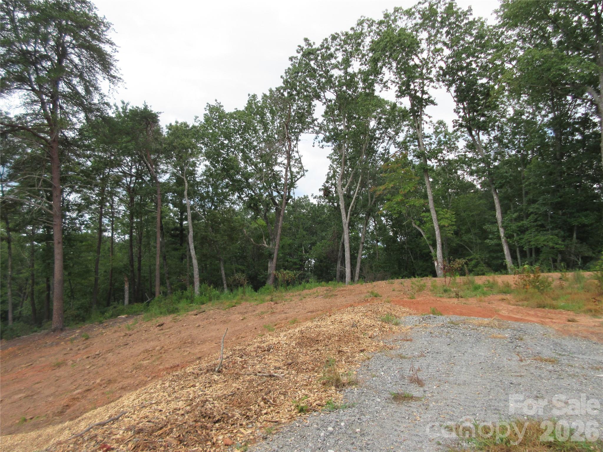 0 Levi Road Columbus, NC 28722 - Photo 7 of 40