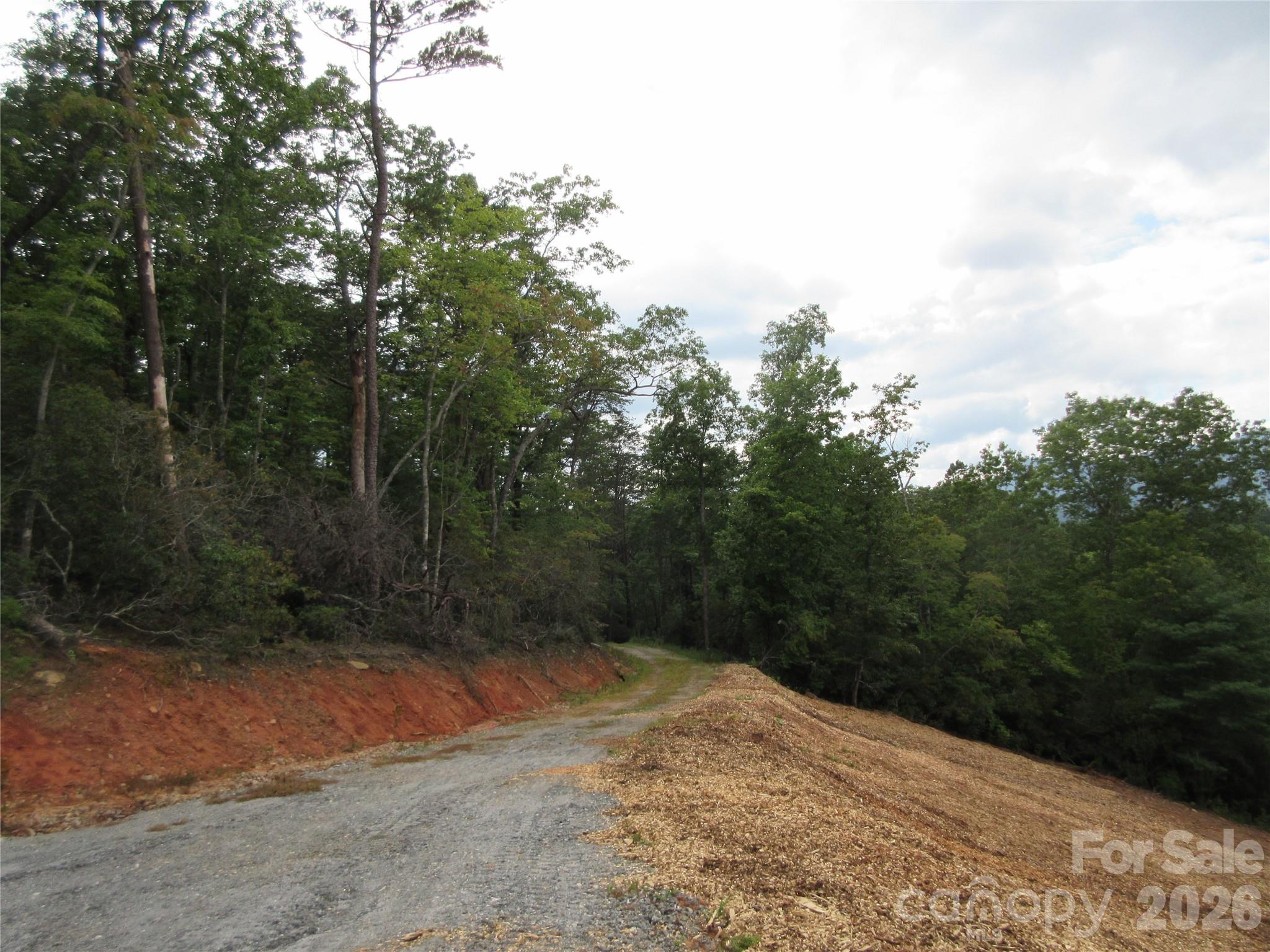 0 Levi Road Columbus, NC 28722 - Photo 8 of 40