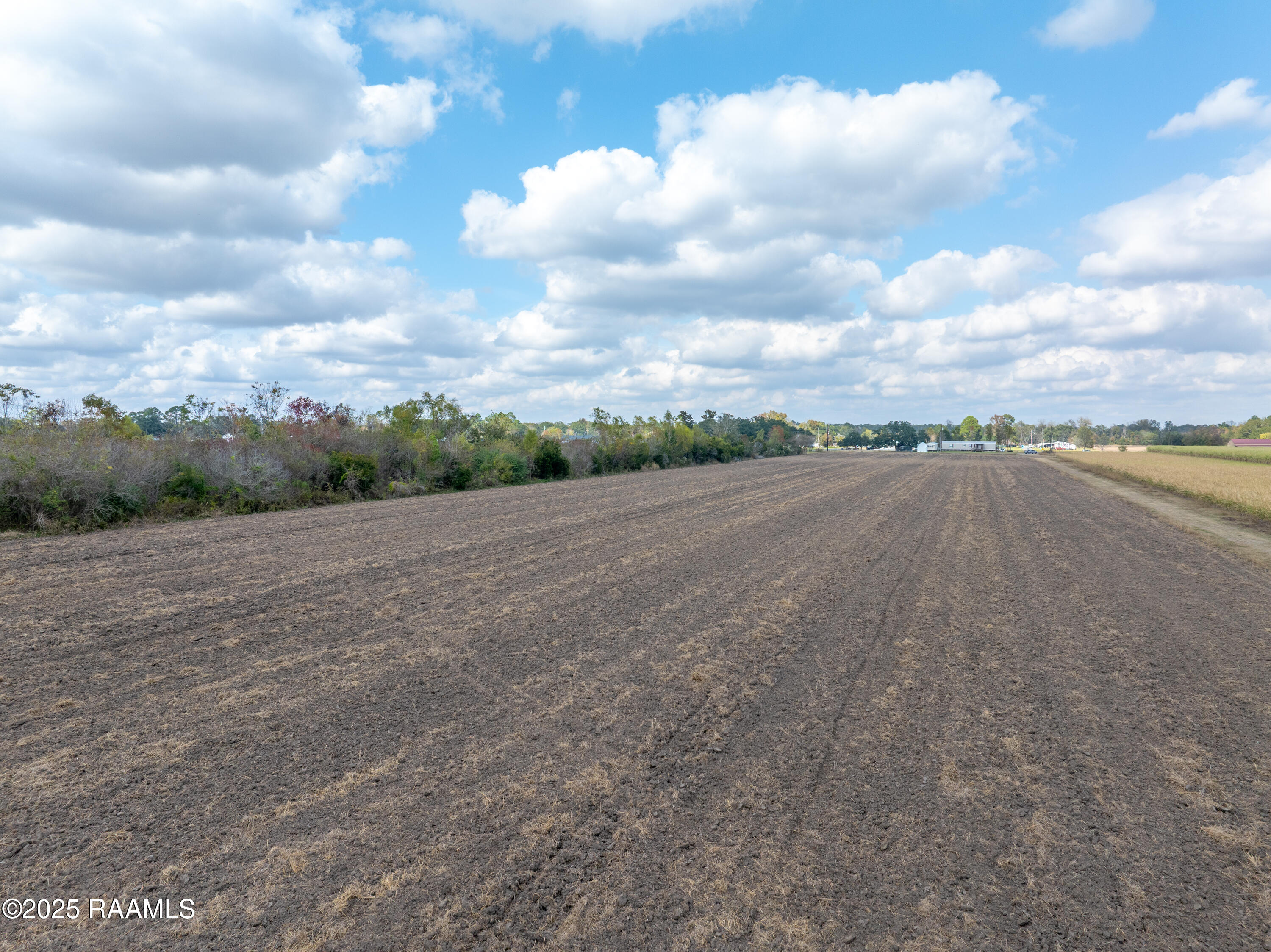 Tbd Ches Courville Road Breaux Bridge, LA 70517 - Photo 6 of 7 TBDChesCourville-7