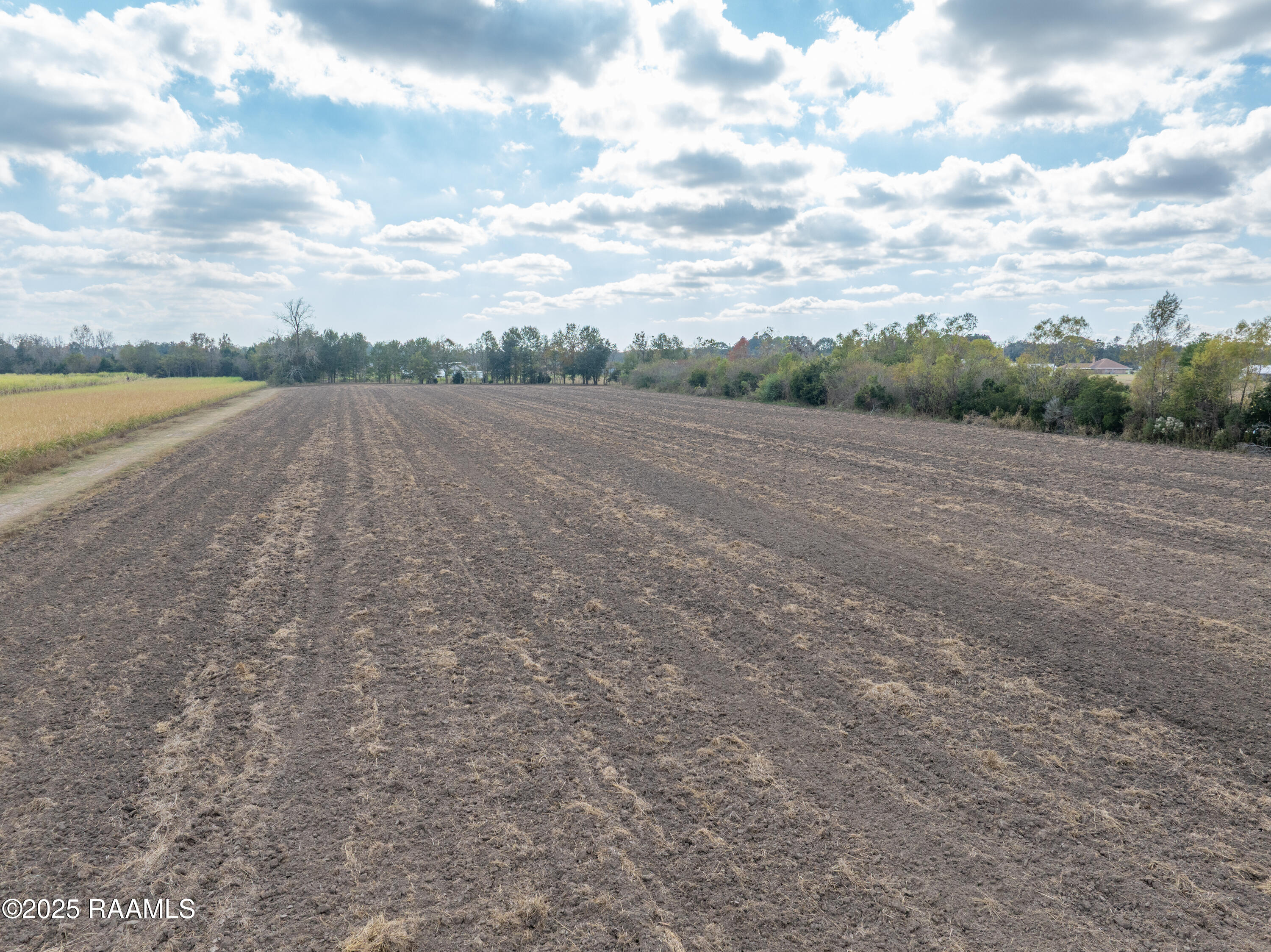 Tbd Ches Courville Road Breaux Bridge, LA 70517 - Photo 7 of 7 TBDChesCourville-8