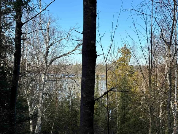 $204,000 | Xxx10 Xxx10 Powerhouse Trail, Ely, MN 55731