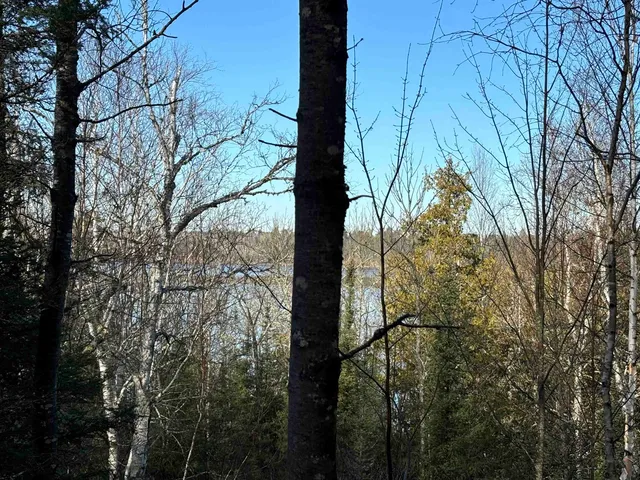 $204,000 | Xxx10 Xxx10 Powerhouse Trail, Ely, MN 55731