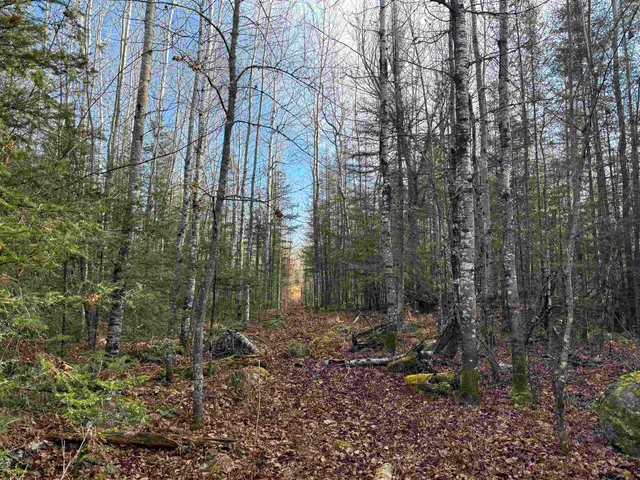 $204,000 | Xxx10 Xxx10 Powerhouse Trail, Ely, MN 55731