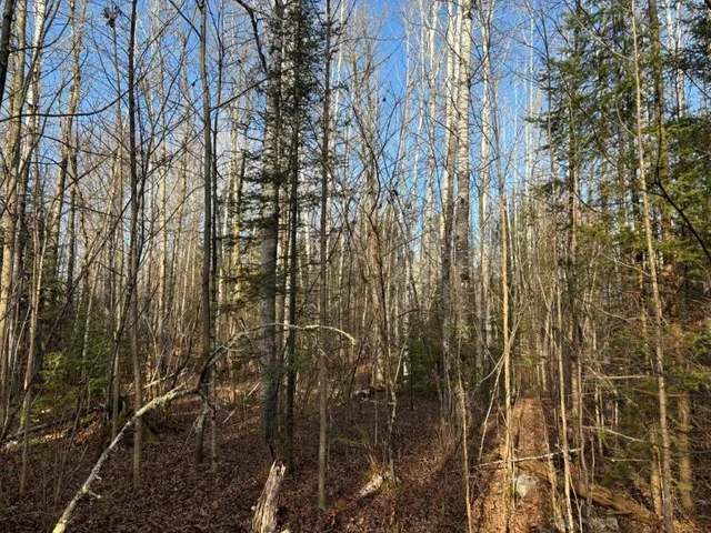 $204,000 | Xxx10 Xxx10 Powerhouse Trail, Ely, MN 55731