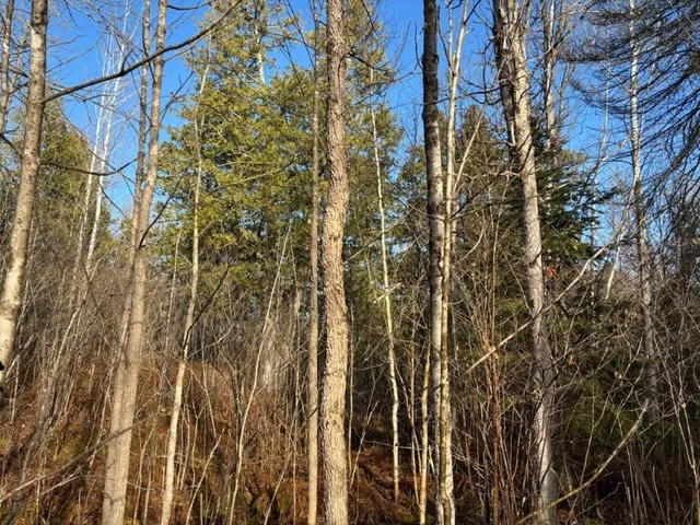 $204,000 | Xxx10 Xxx10 Powerhouse Trail, Ely, MN 55731