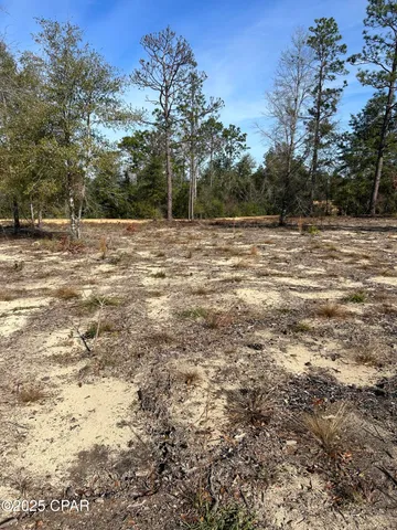 $22,000 | Tbd Empire Avenue, Alford, FL 32420