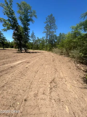 $22,000 | Tbd Empire Avenue, Alford, FL 32420