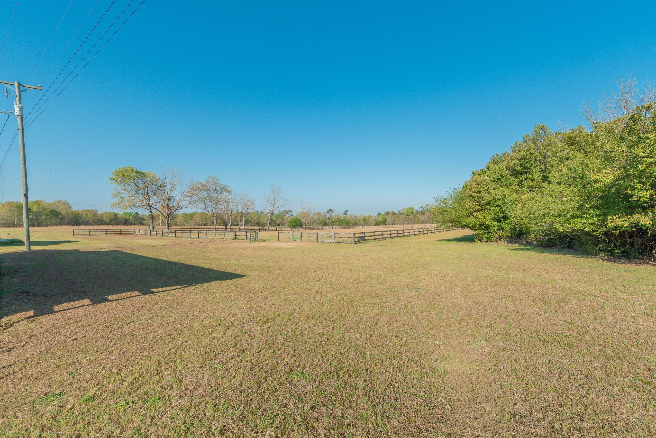 252 Moseley Road Williston, SC 29853 - Photo 50 of 64