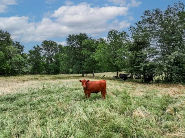 $790,000 | 2287 Fm-3132, Klondike, TX 75448