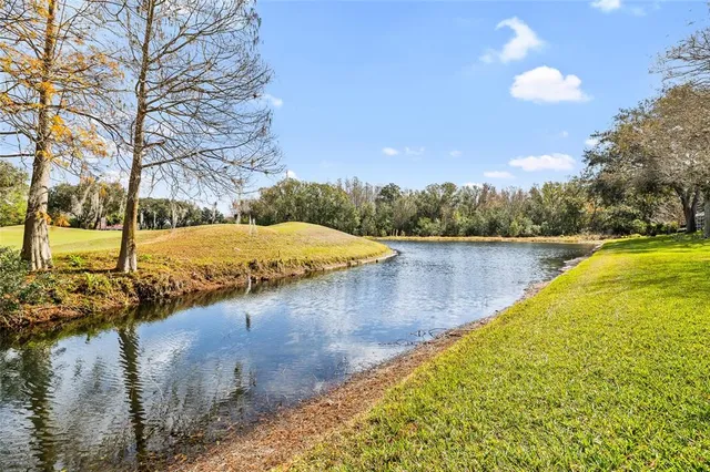 a view of a lake with a yard