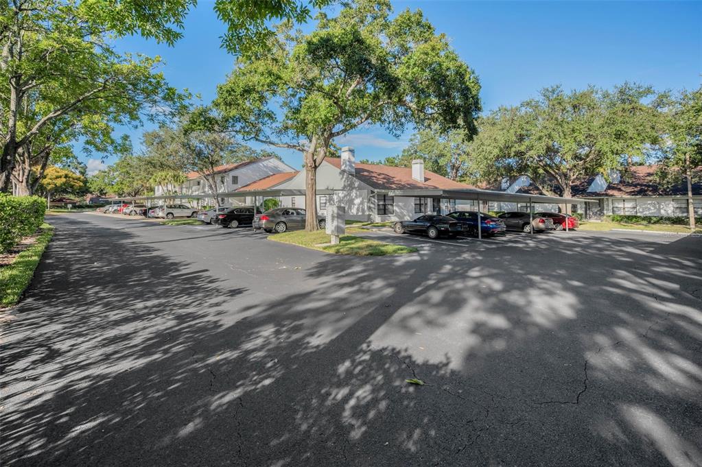 3500 Magnolia Ridge Circle, Unit 405 Palm Harbor, FL 34684 - Photo 2 of 61