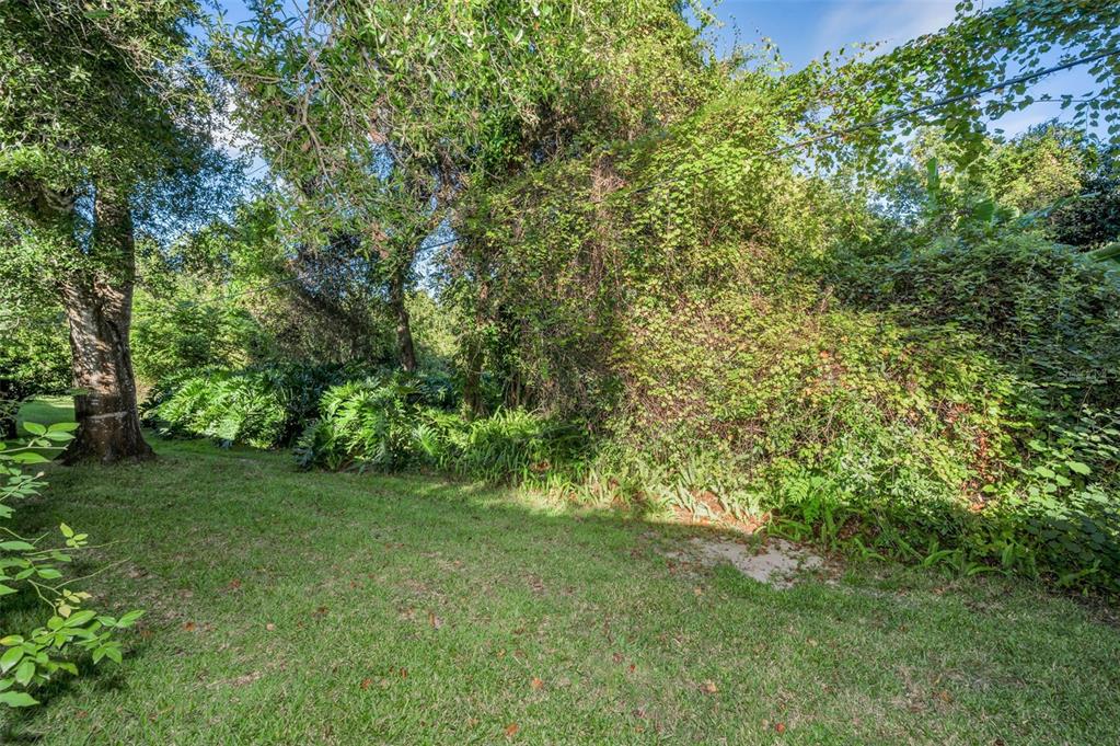 3500 Magnolia Ridge Circle, Unit 405 Palm Harbor, FL 34684 - Photo 37 of 57