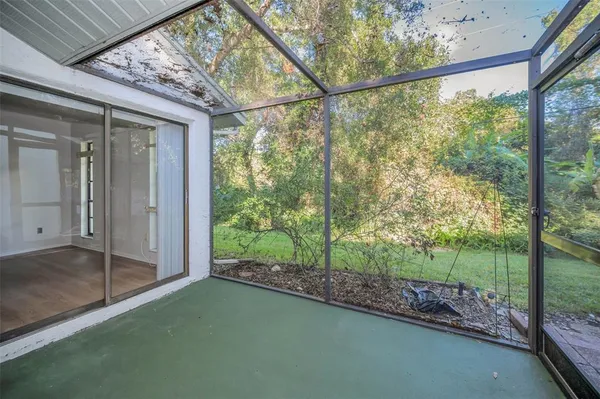 a backyard of a house with plants and large tree