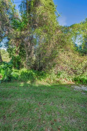 a view of yard with green space