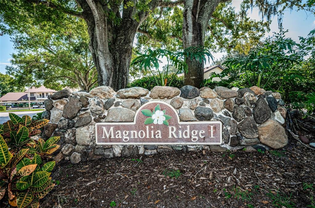 3500 Magnolia Ridge Circle, Unit 405 Palm Harbor, FL 34684 - Photo 44 of 57