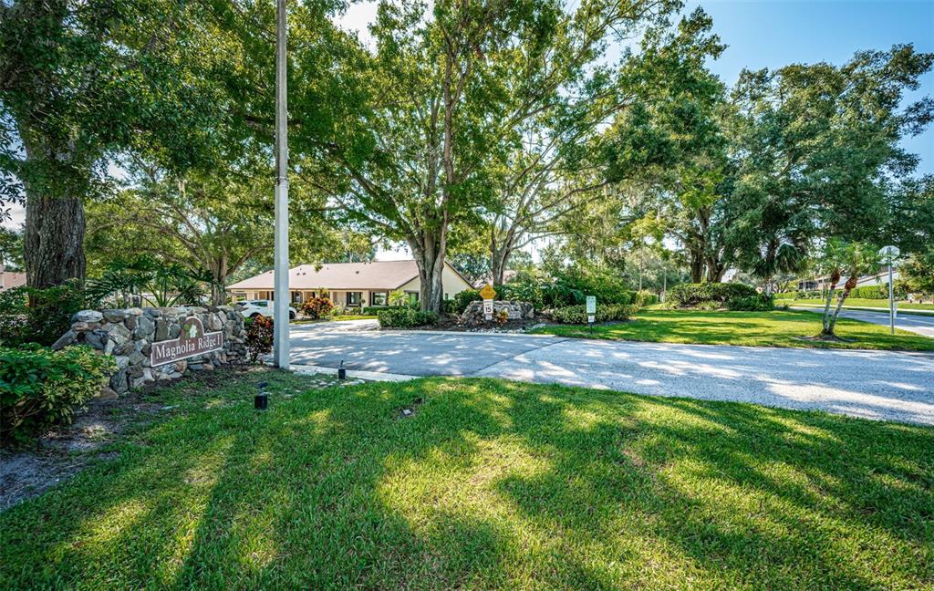 3500 Magnolia Ridge Circle, Unit 405 Palm Harbor, FL 34684 - Photo 50 of 61