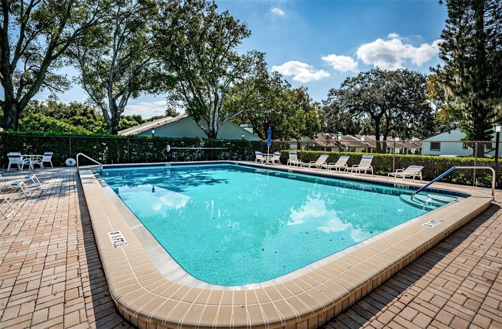 3500 Magnolia Ridge Circle, Unit 405 Palm Harbor, FL 34684 - Photo 50 of 57